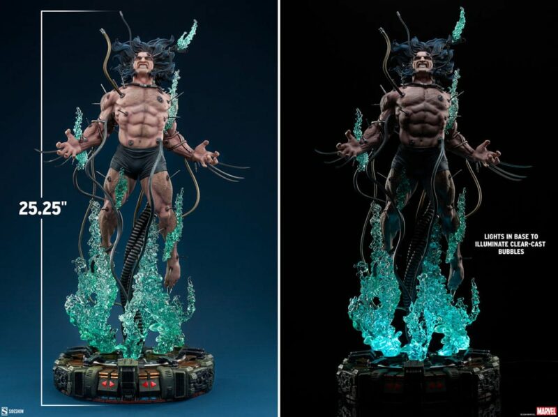 Sideshow | Marvel Premium Format Statue Wolverine: Weapon X - immagine 3